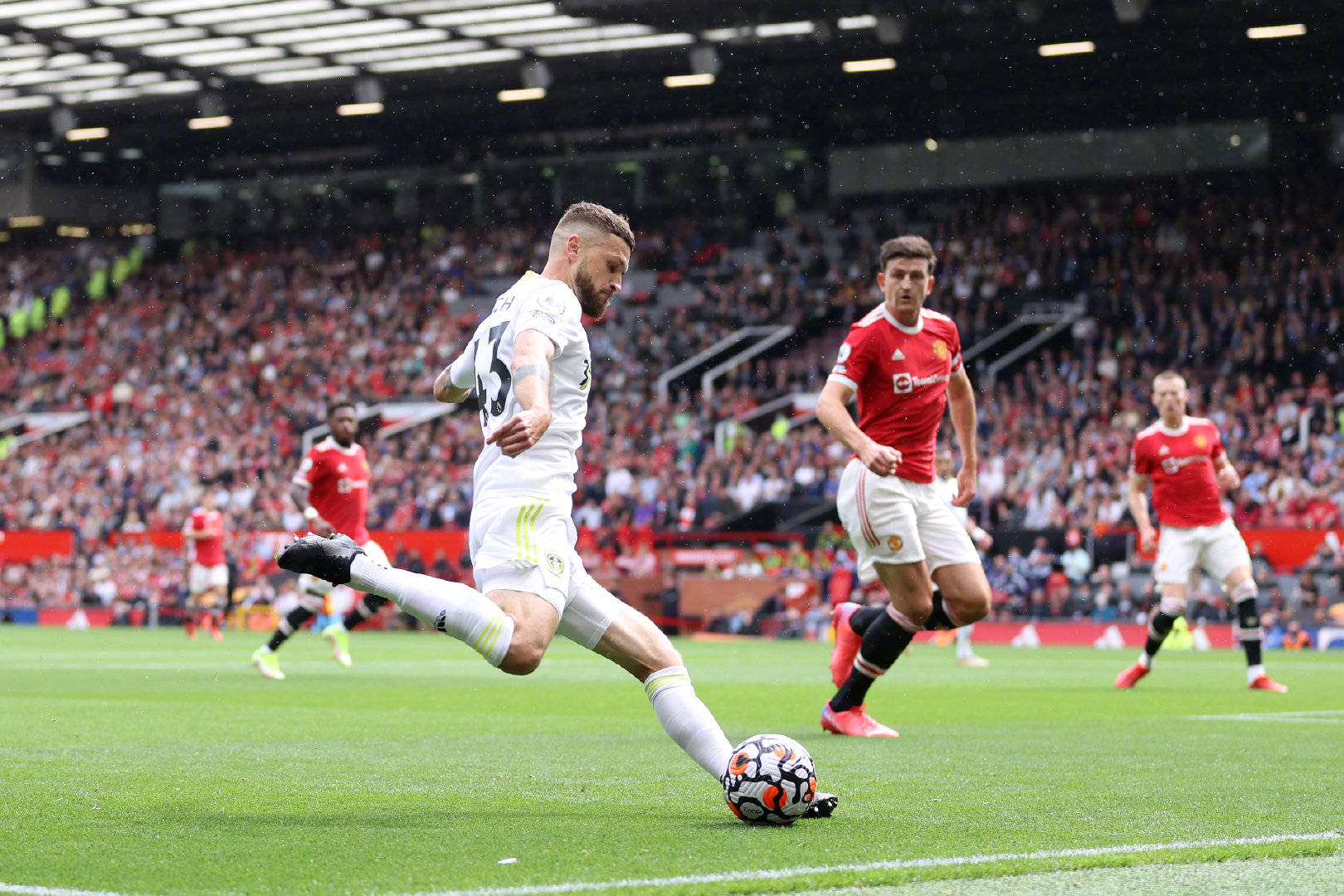 围几乎决定 围几乎决定