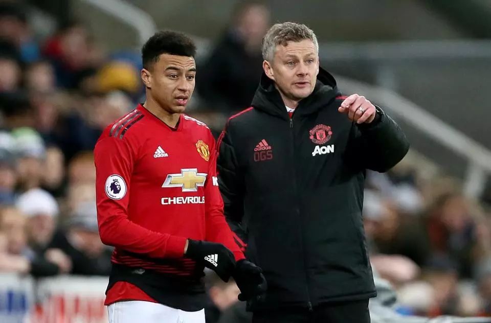 了半决赛 了半决赛